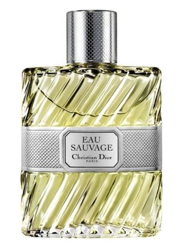 yves saint laurent sauvage|ysl vs sauvage edp.